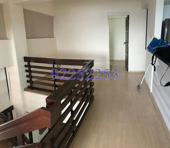 Pandan Valley (D21), Condominium #169295922